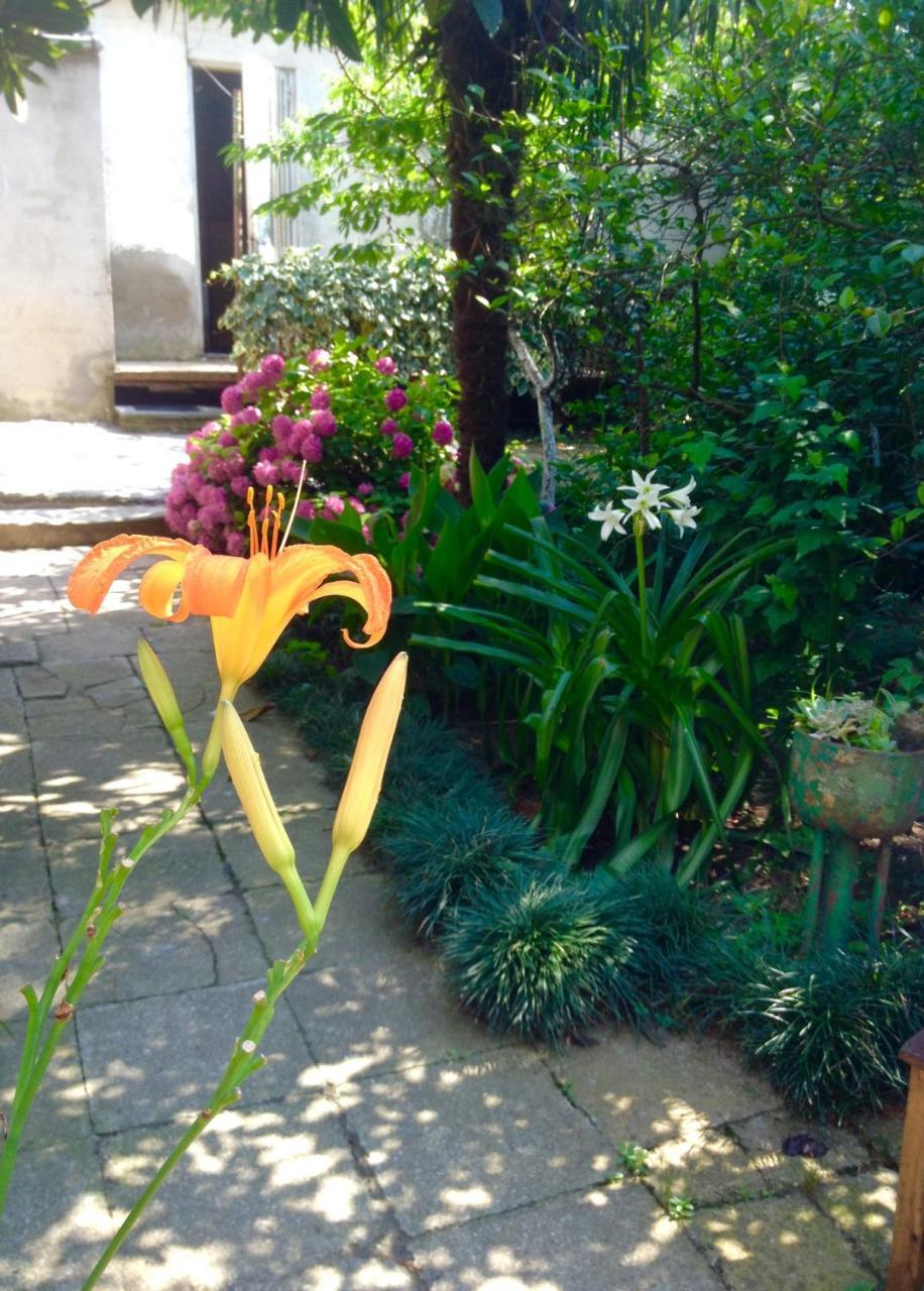 Colibri Home คูทายสิ ภายนอก รูปภาพ